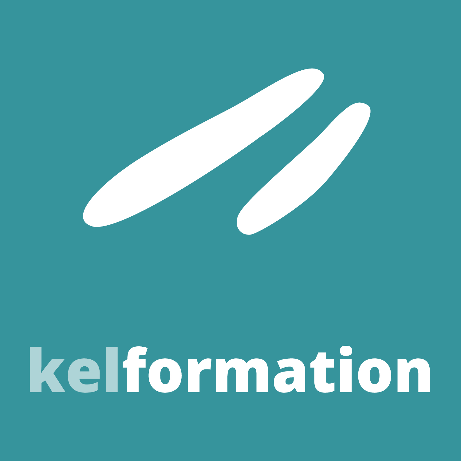 Logo Kelformation Meunier Directeur artistique graphiste art director graphic designer